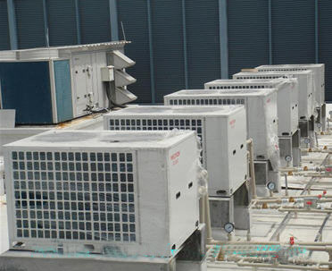 1734080207721653.jpg 1.jpg